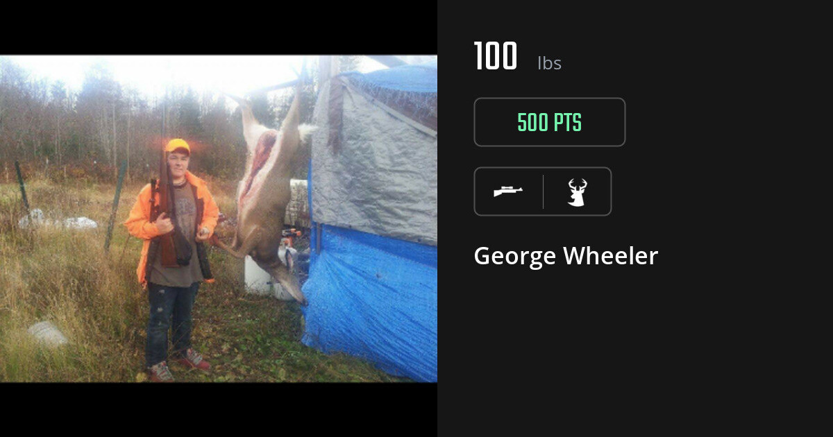 deer harvest by George Wheeler