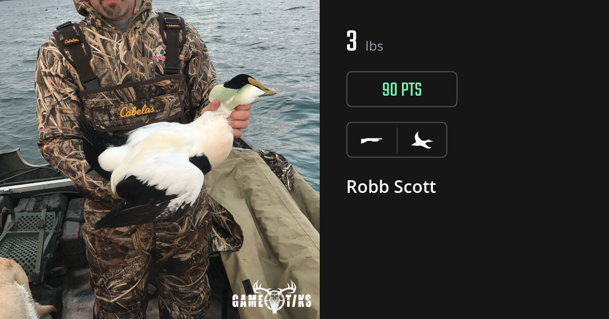 Waterfowl harvest on Gametiks