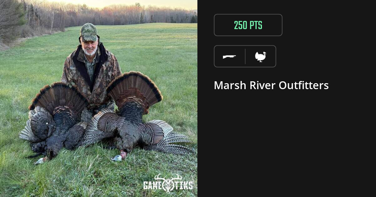 turkey harvest by Marsh River Outfitters