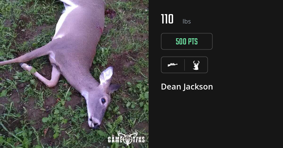 deer harvest by Dean Jackson