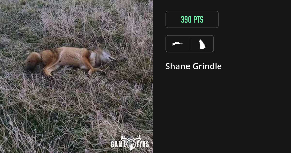 canine harvest by Shane Grindle