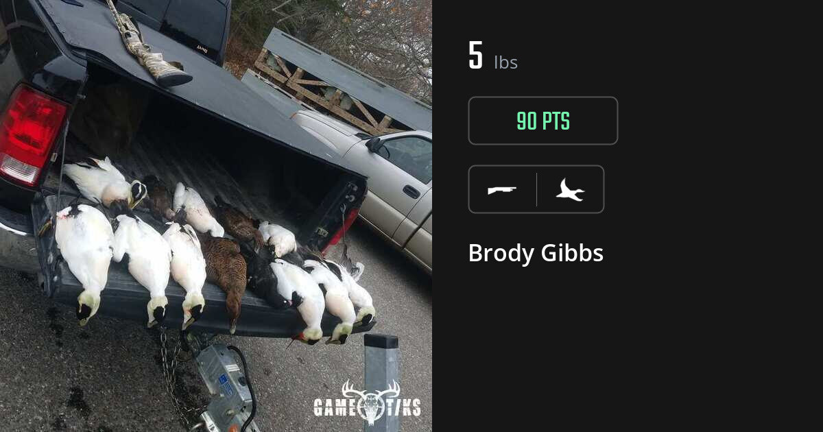 Waterfowl harvest on Gametiks