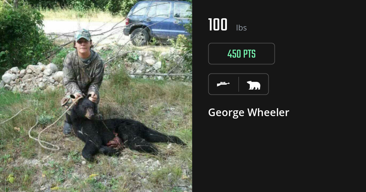 bear harvest by George Wheeler
