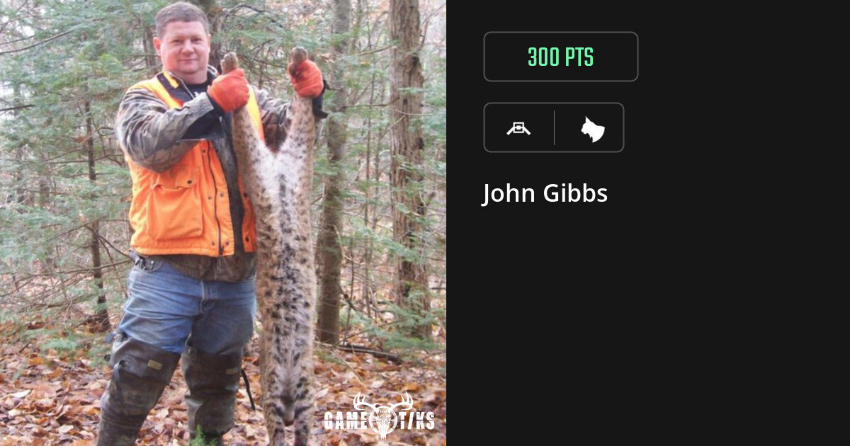 Feline harvest on Gametiks