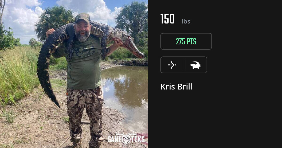 gator harvest by Kris Brill