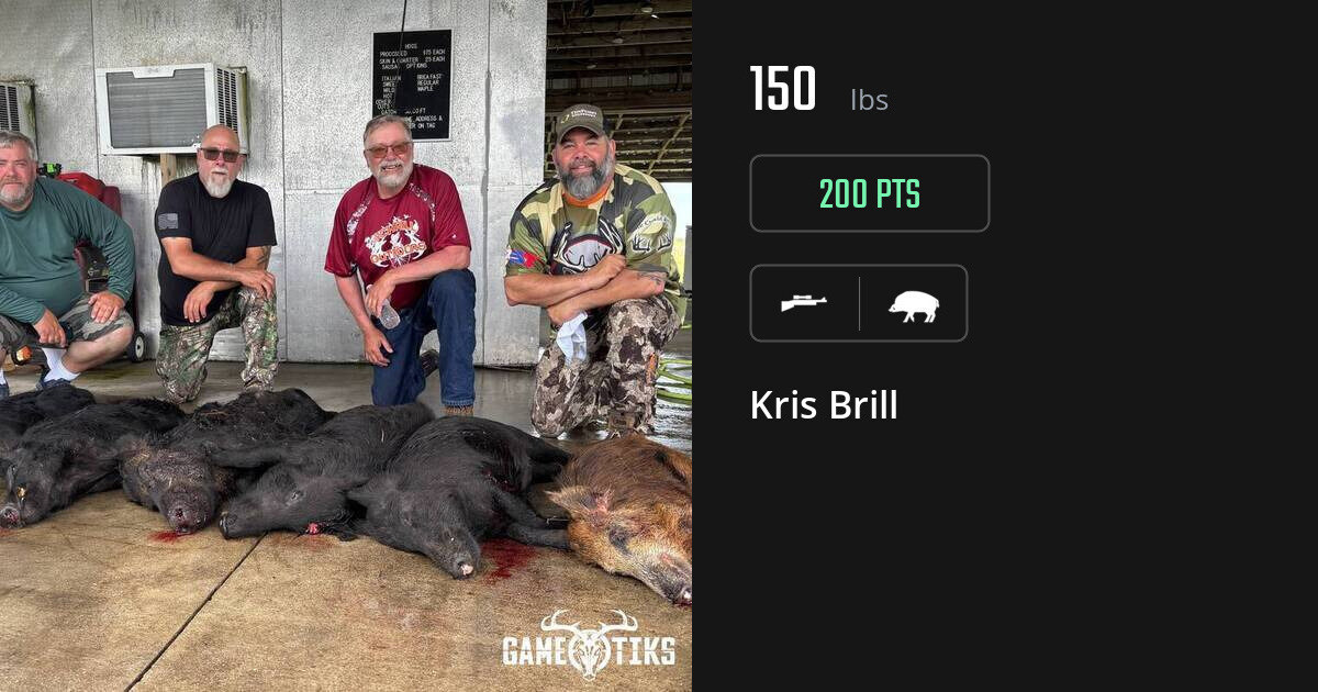 boar harvest by Kris Brill