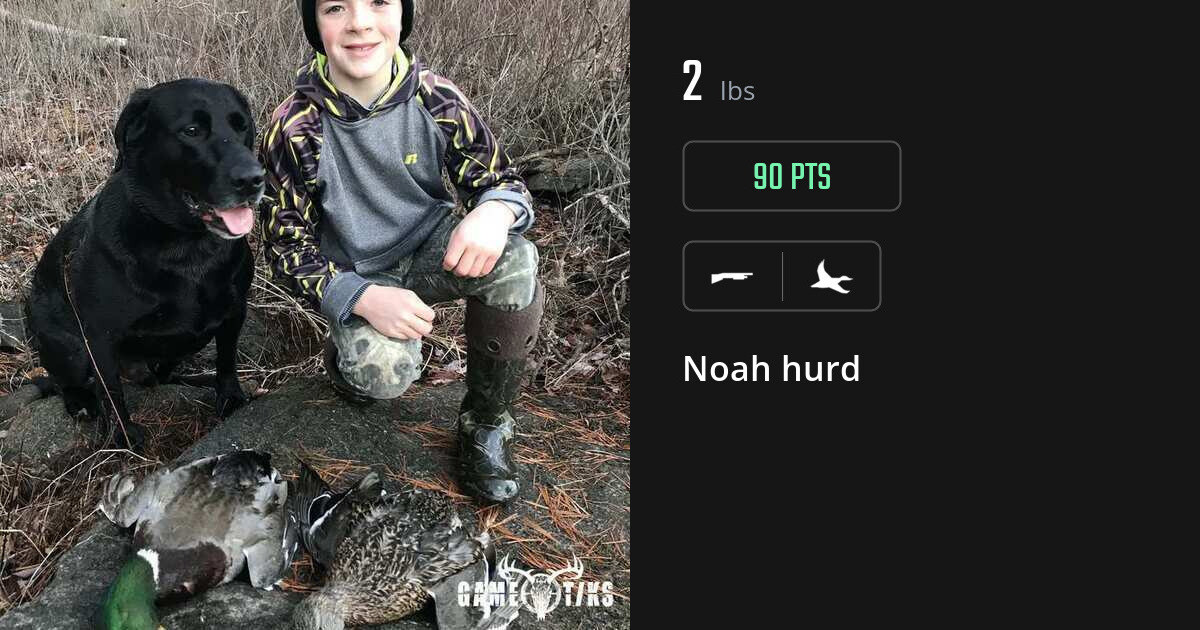 Waterfowl harvest on Gametiks