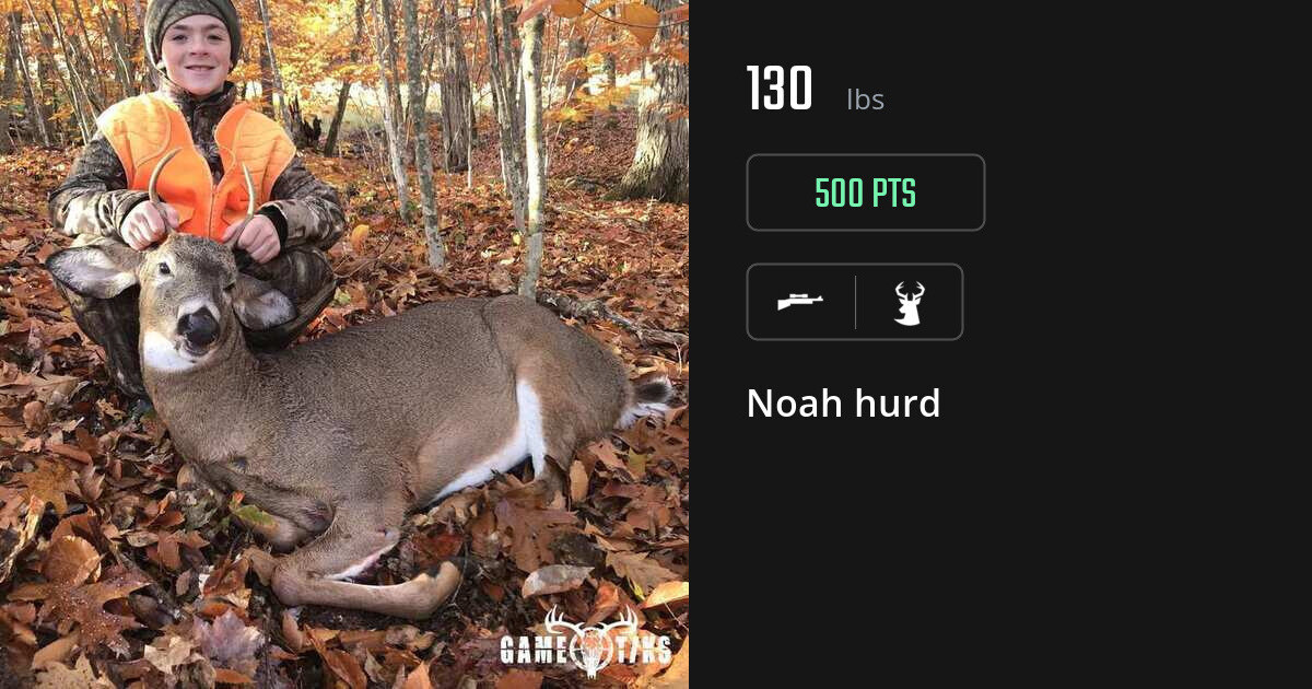 Deer harvest on Gametiks