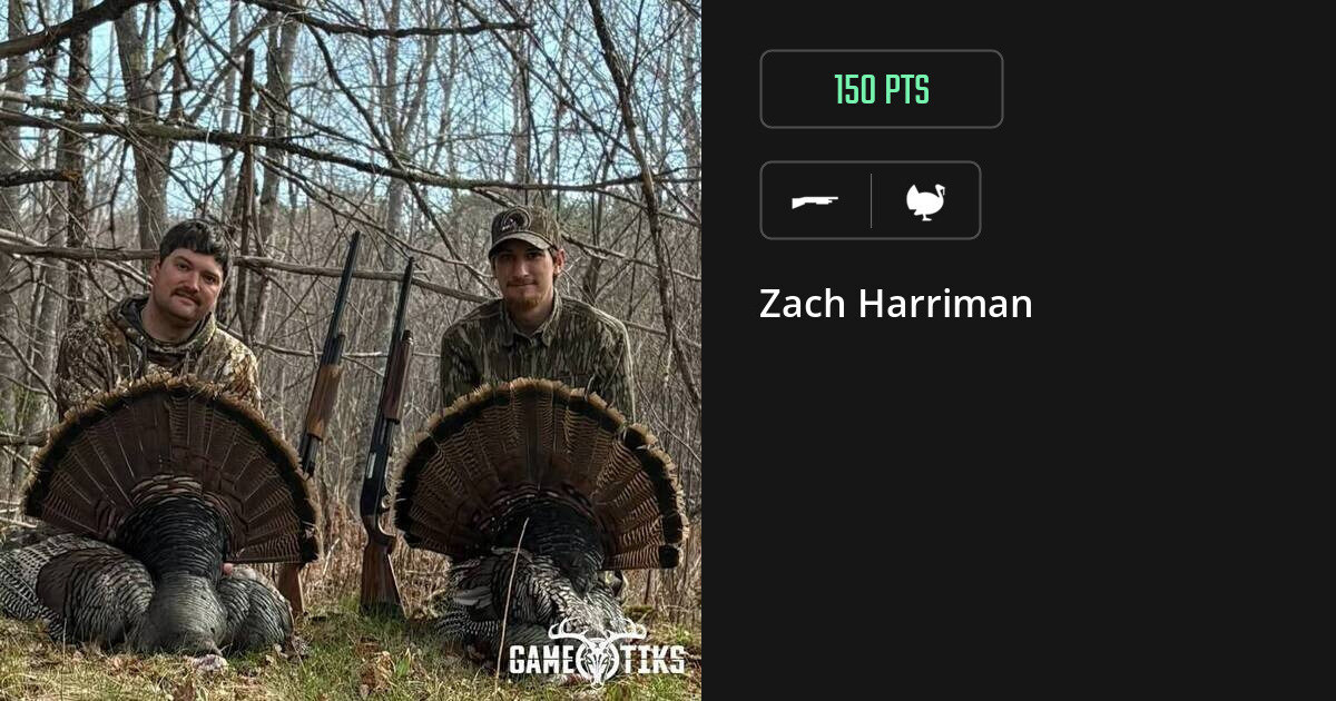 Turkey harvest on Gametiks