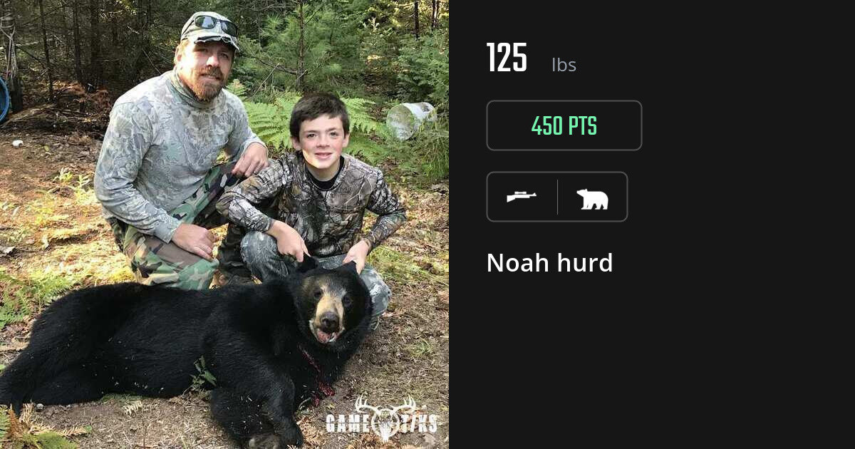 Bear harvest on Gametiks