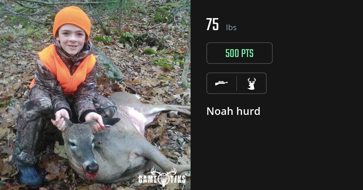 Deer harvest on Gametiks