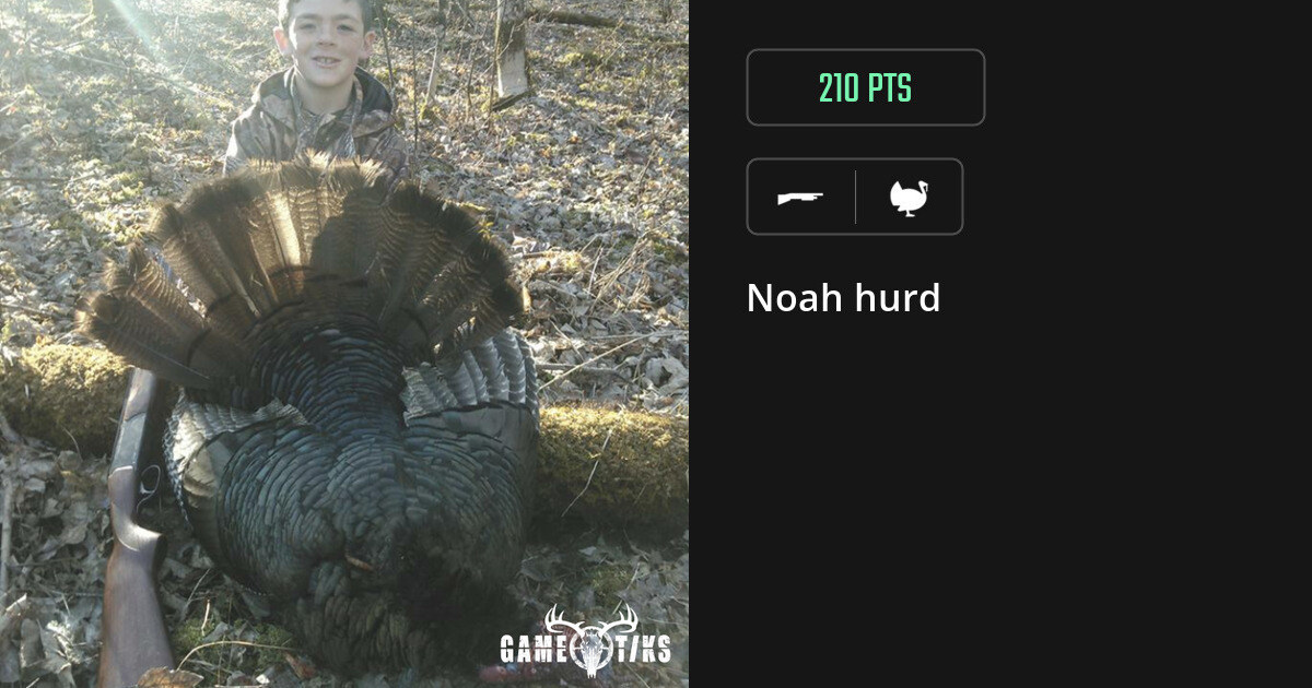 Turkey harvest on Gametiks
