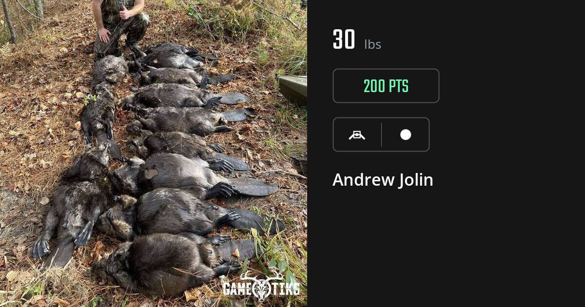 Miscellaneous harvest on Gametiks