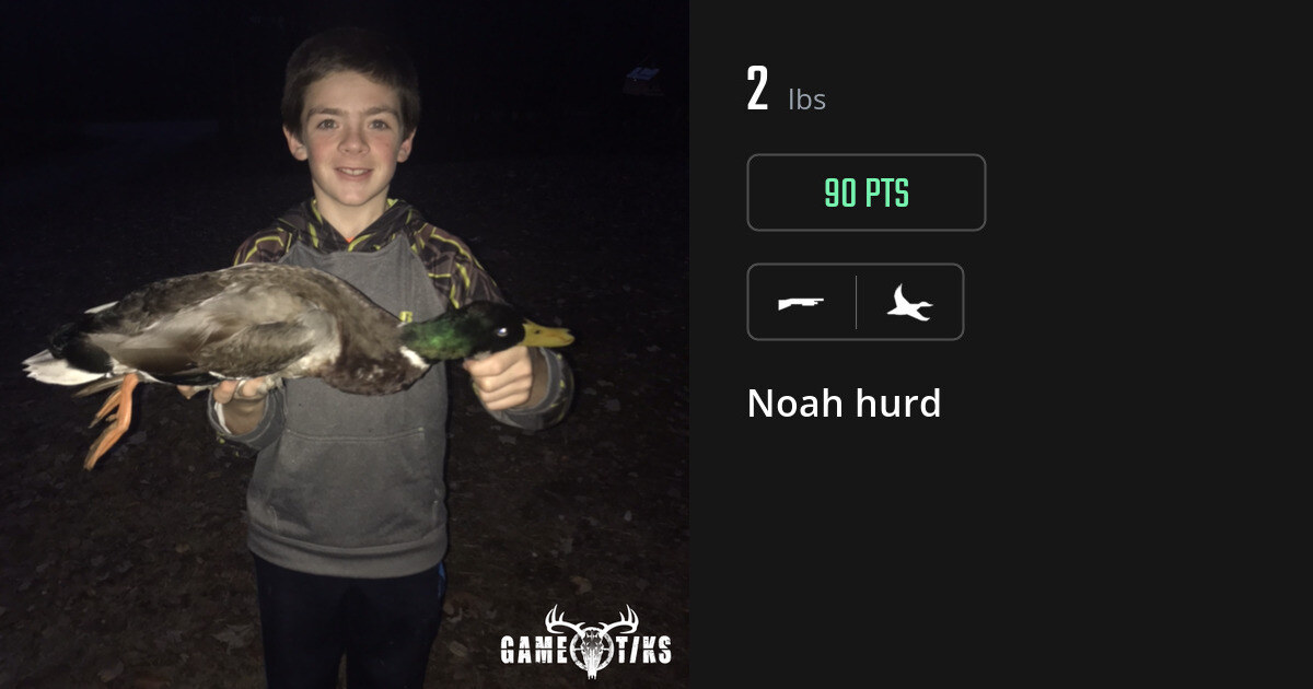 Waterfowl harvest on Gametiks