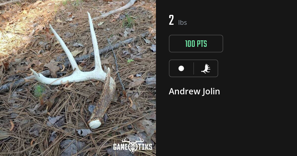 shed_antler harvest by Andrew Jolin
