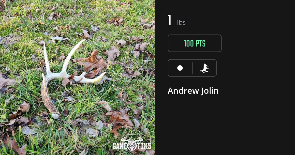 shed_antler harvest by Andrew Jolin