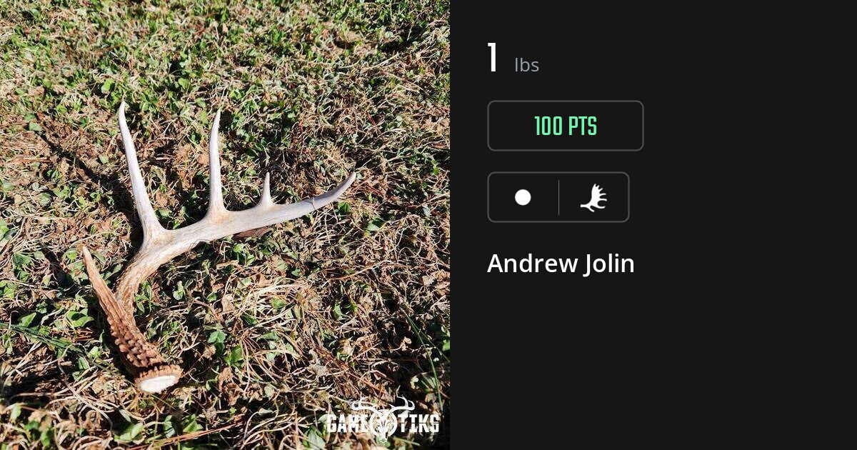 shed_antler harvest by Andrew Jolin
