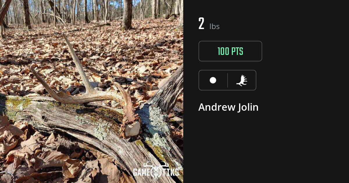 shed_antler harvest by Andrew Jolin