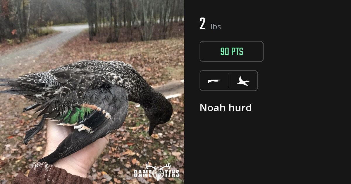 Waterfowl harvest on Gametiks