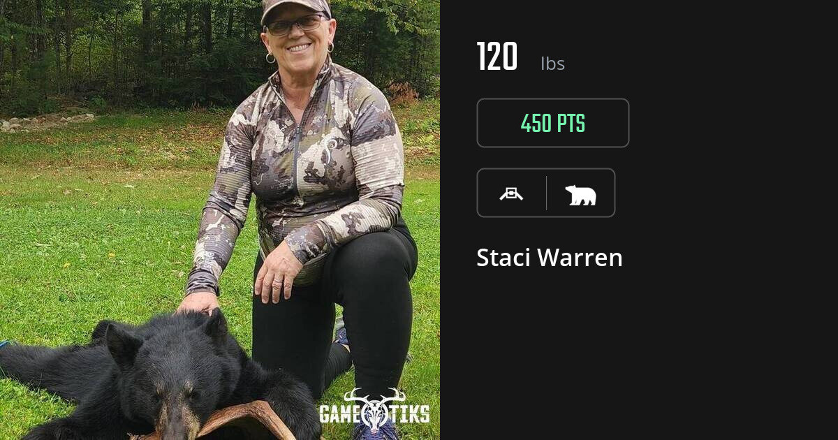 bear harvest by Staci Warren