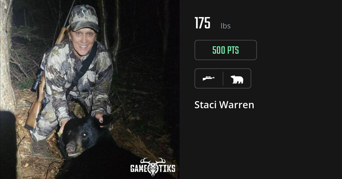 bear harvest by Staci Warren