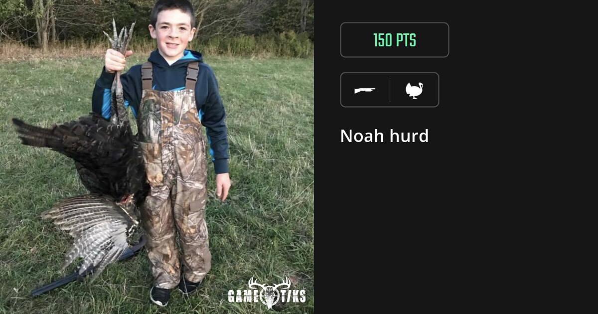 Turkey harvest on Gametiks