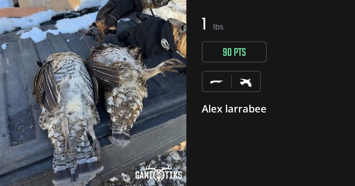 Upland bird harvest on Gametiks