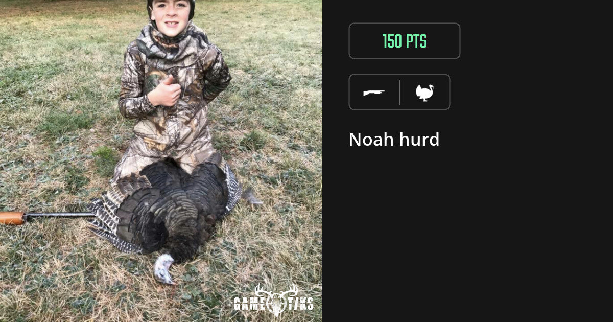 Turkey harvest on Gametiks
