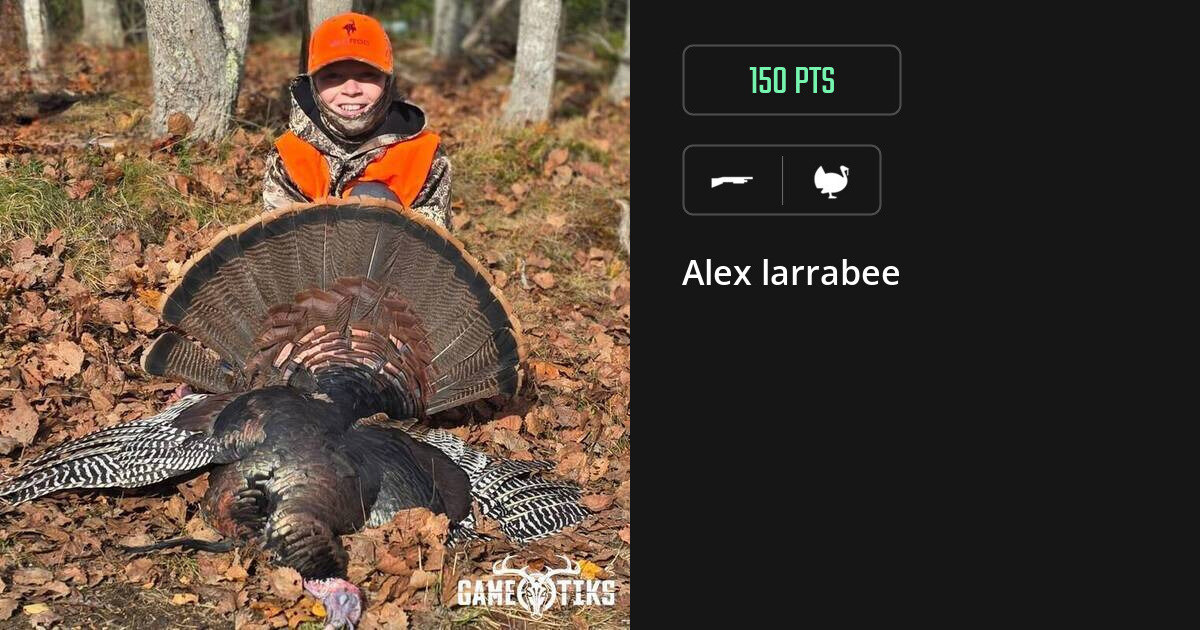 Turkey harvest on Gametiks