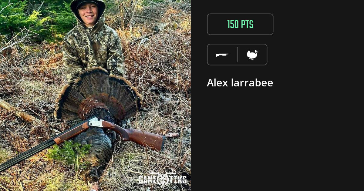 turkey harvest by Alex larrabee