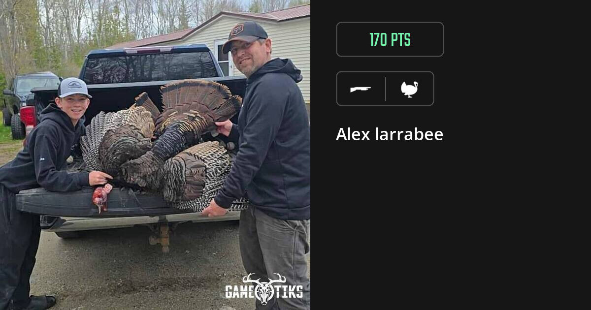 turkey harvest by Alex larrabee