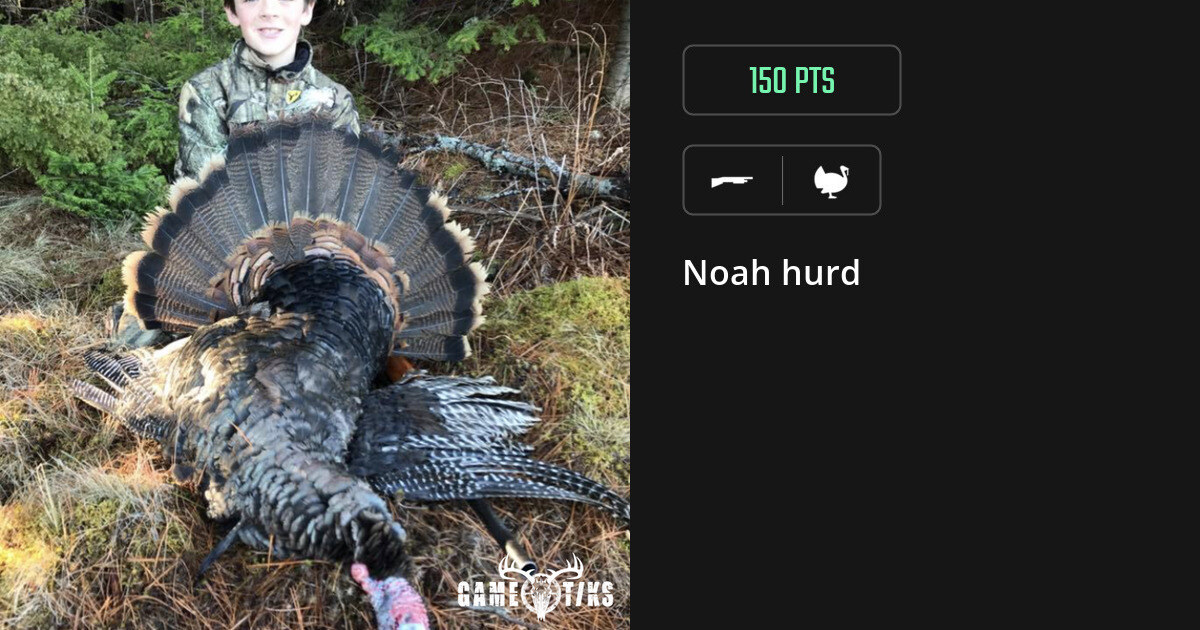 Turkey harvest on Gametiks