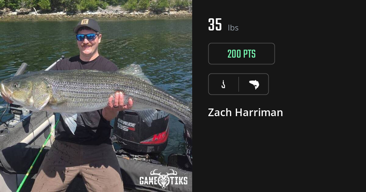 Saltwater fish harvest on Gametiks