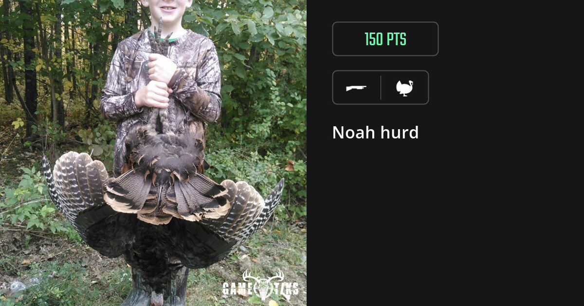 Turkey harvest on Gametiks