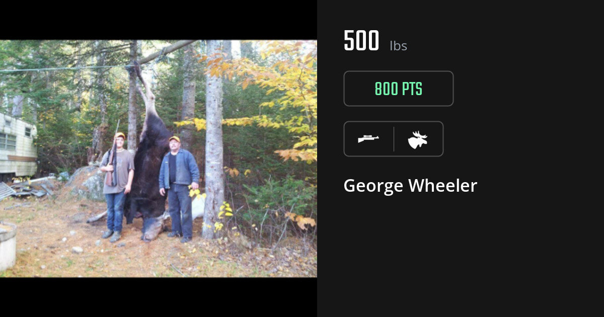 Moose harvest on Gametiks