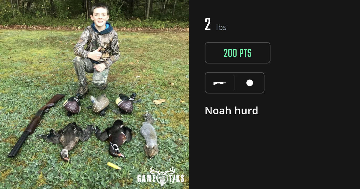 Miscellaneous harvest on Gametiks