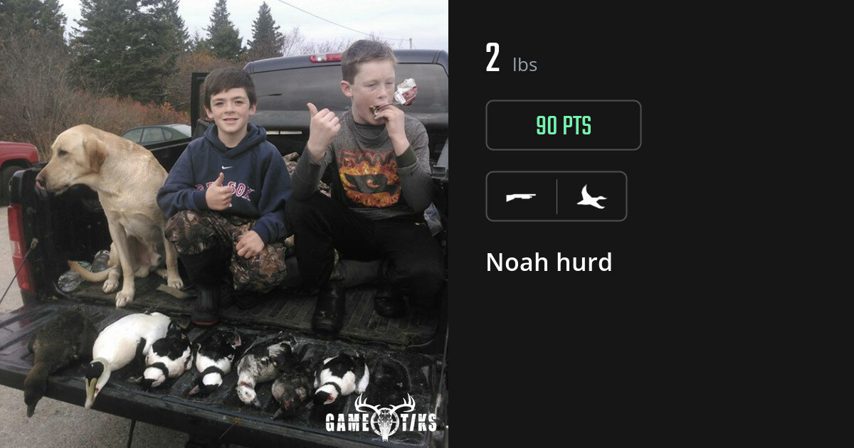 Waterfowl harvest on Gametiks