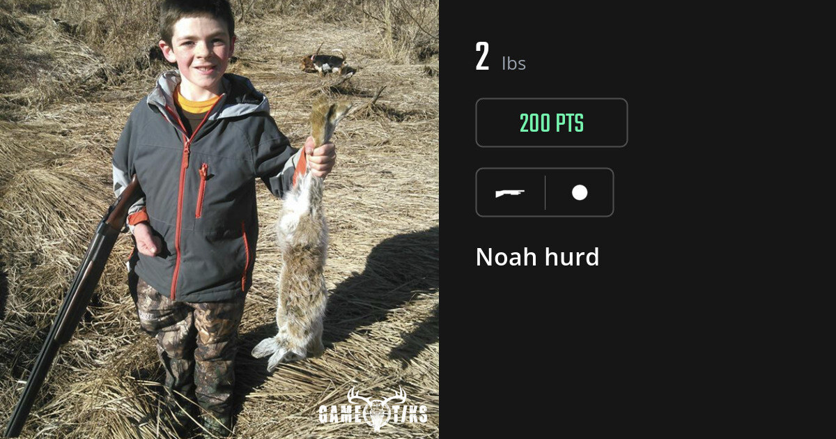 Miscellaneous harvest on Gametiks