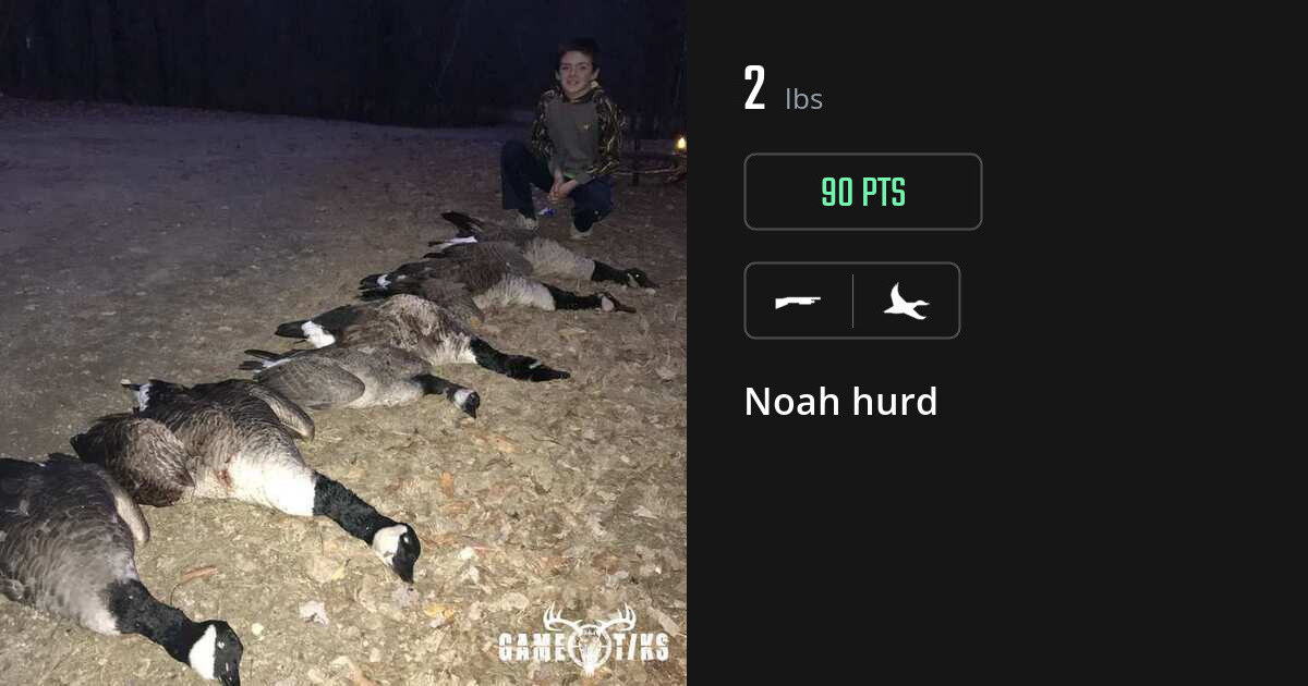 Waterfowl harvest on Gametiks