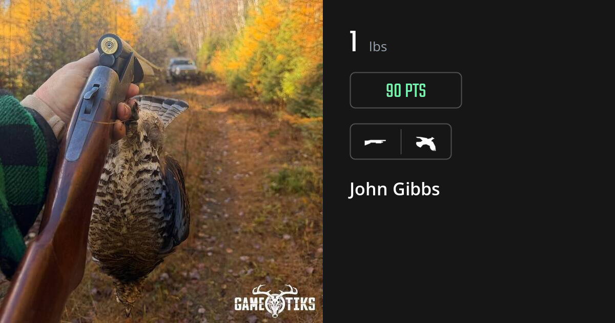 upland_bird harvest by John Gibbs