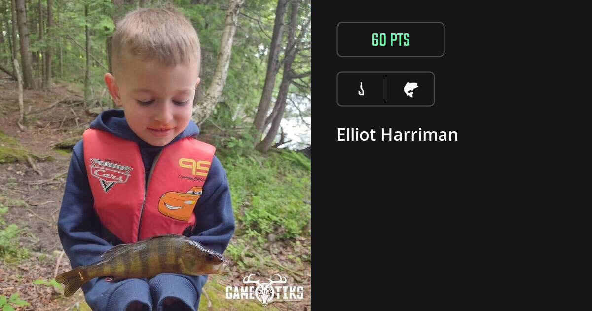 Freshwater fish harvest on Gametiks