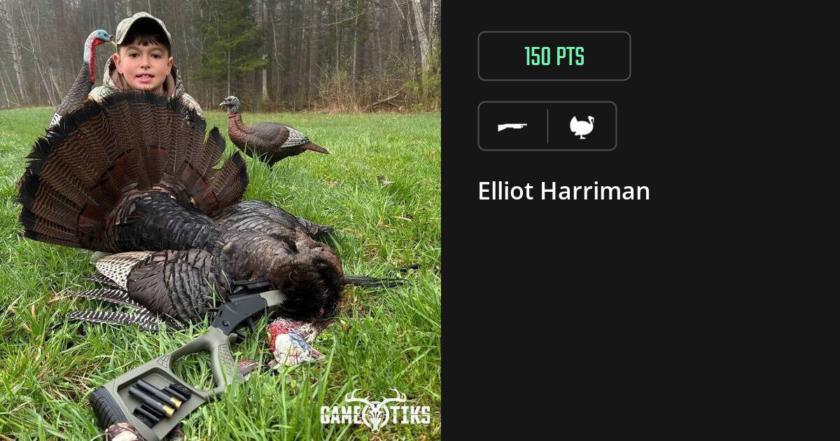 Turkey harvest on Gametiks