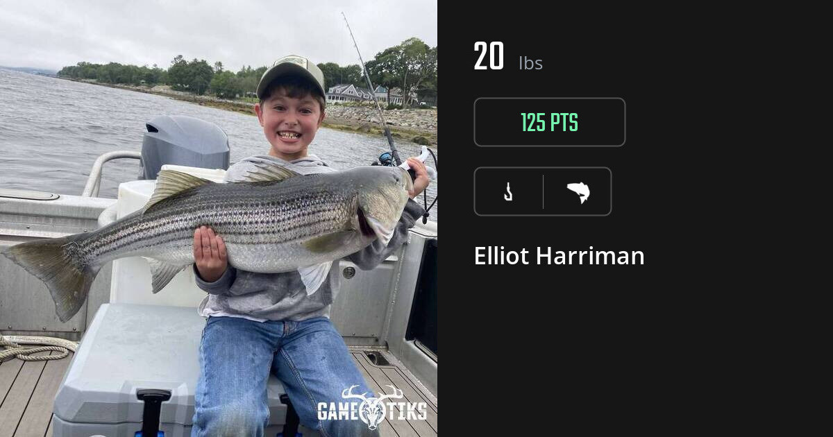 Saltwater fish harvest on Gametiks