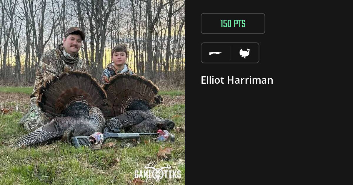 turkey harvest by Elliot Harriman