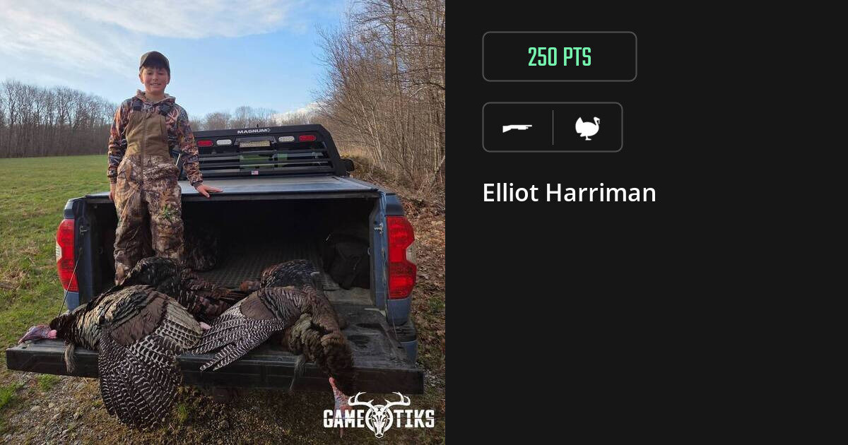 turkey harvest by Elliot Harriman