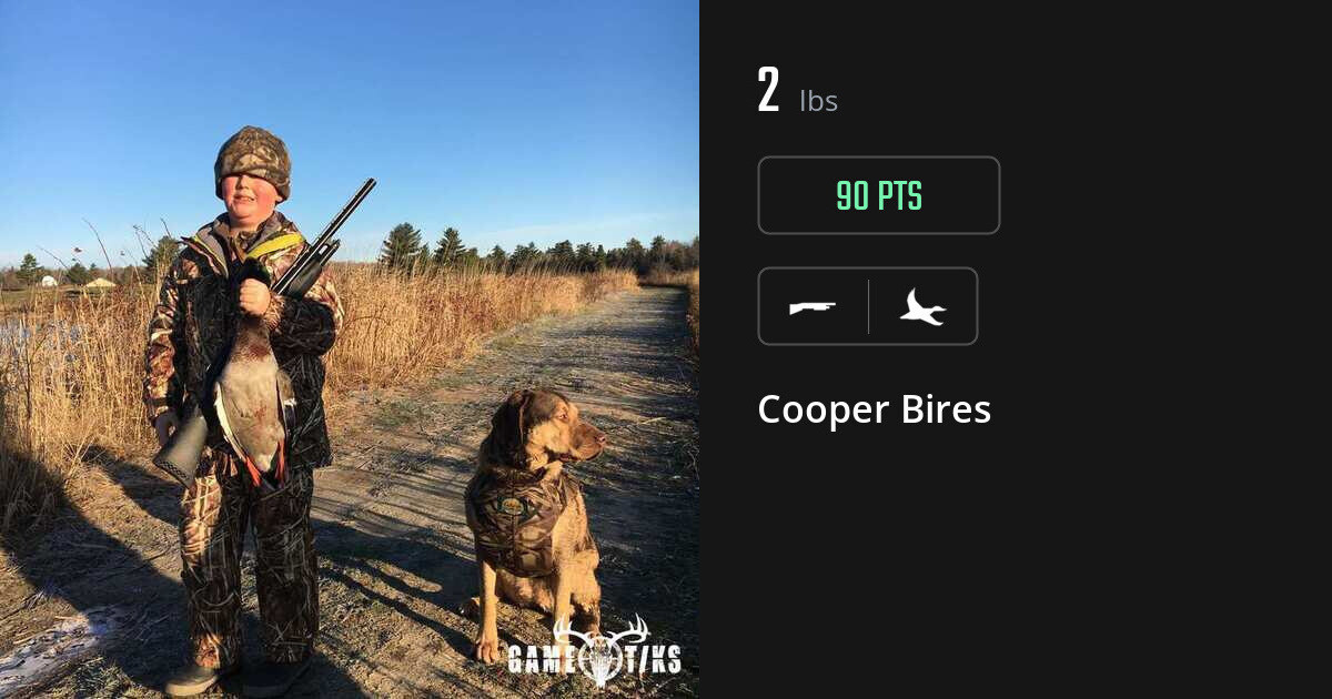 Waterfowl harvest on Gametiks