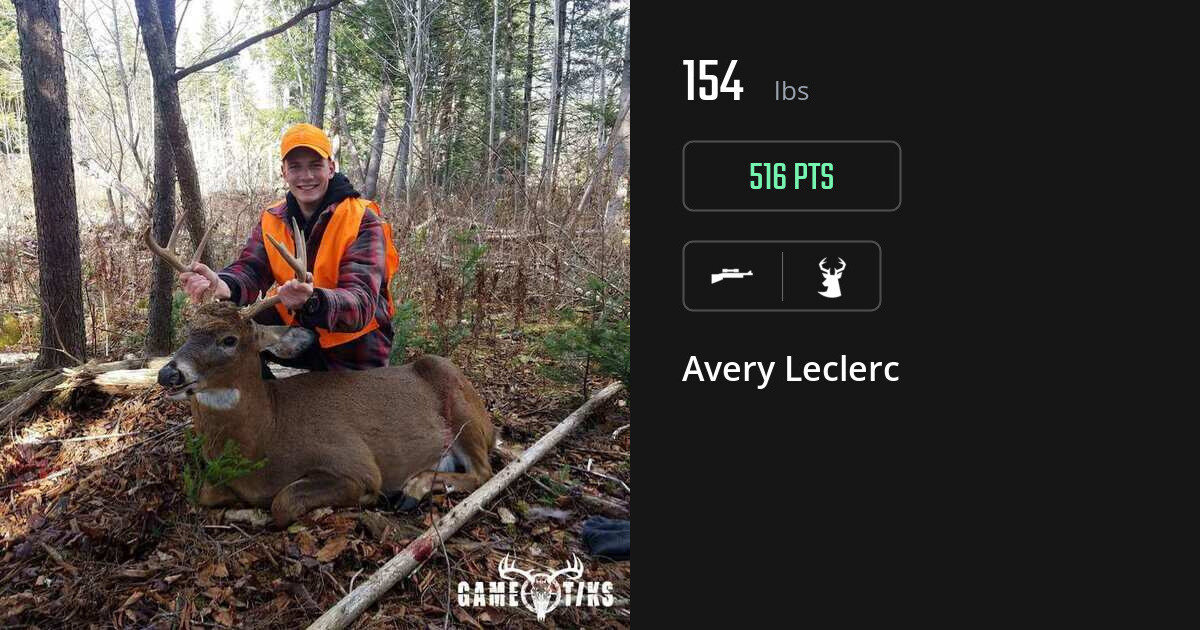 deer harvest by Avery Leclerc