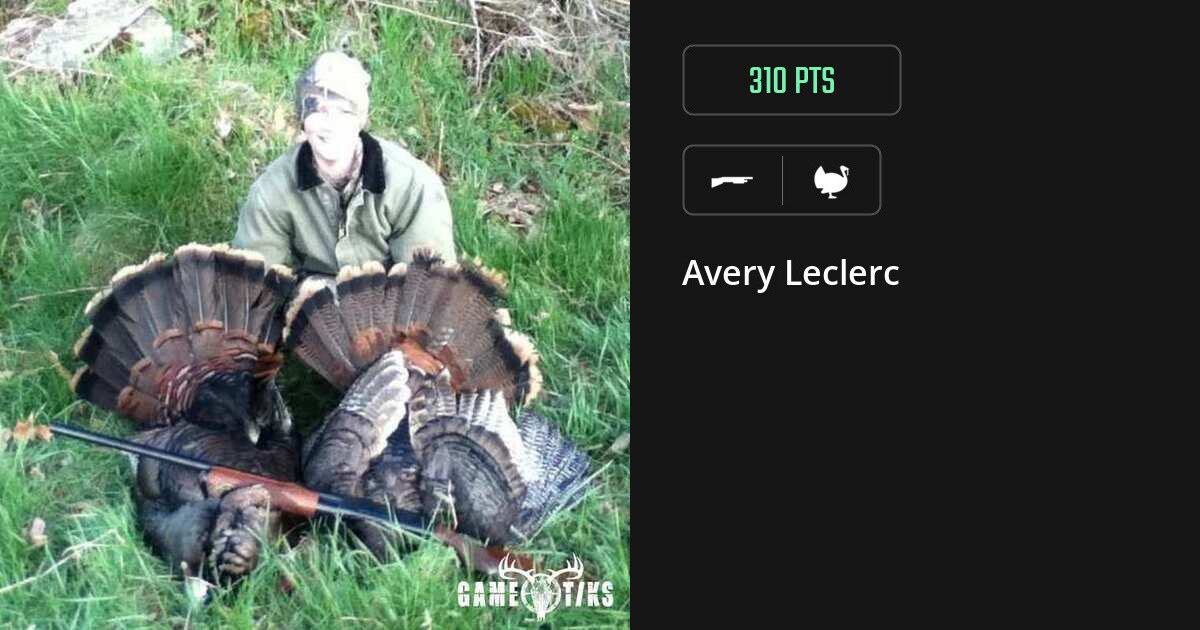 Turkey harvest on Gametiks