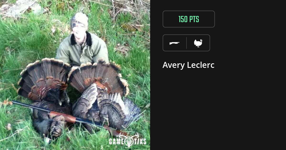 turkey harvest by Avery Leclerc
