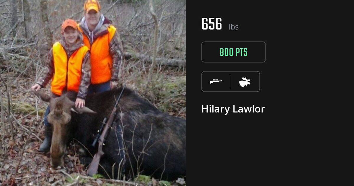 moose harvest by Hilary Lawlor